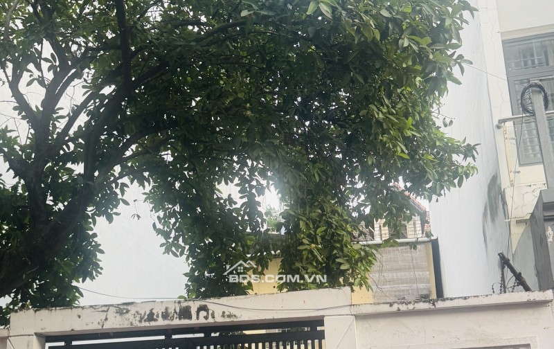 Mặt Tiền VIP Ngay Trương Sơn Khu Sân Bay Phường 4, Tân Bình, 60m2, Nhà nát. Chỉ 10.3 tỷ TL